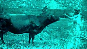 dark lantern entertainment uncovers vintage girls flashing hairy beavers and natural tits outdoors