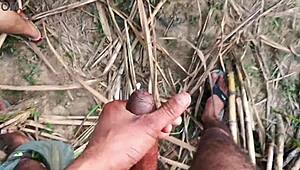 hey sexy married bride wanna get fucked hard in sugarcane field by uncle?