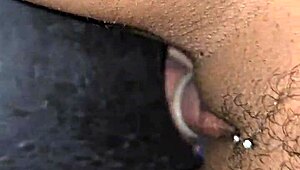 Gloryhole guy fails so husband cunilingus licks latina milf housewife to orgasm at party