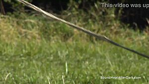 submissive slaves kneel before merciless femdom's humiliating commands