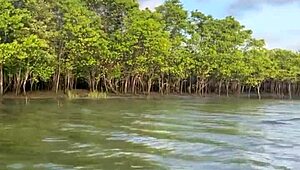 Brazilian Latina Wife Boat Ride in Bikini