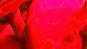 hey check out me pounding this big ass beach morena i met pov style