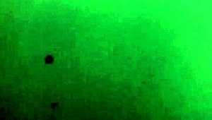 bang my delicious wife hard with blowjobs and pussy banging amateurs style blowbang action!