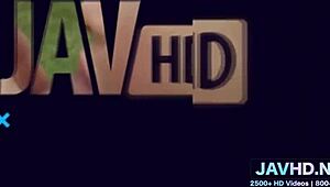 Bold Japanese Anal Compilation Hammers Volume 28