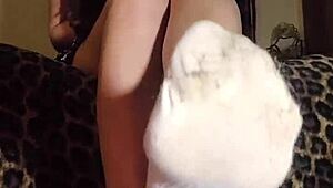Worship Sniff MistressKs Sweaty Socks And Bare Feet Now