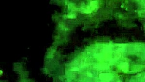 vintage drawings capture retro erotic scenes