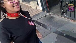 He leashed my wife for public pounding