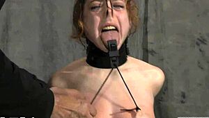 naked sluts compete in hardcore bdsm cock sucking game frenzy