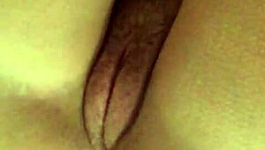 What secrets hide in simple butt plug play adventures?