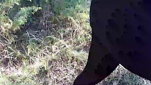 strolling through the forest in high heels and pantyhose feels unexpectedly thrilling