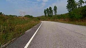 thai teen raw hardcore reality rough first run adventure