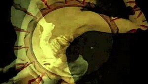 vintage drawings capture retro erotic scenes