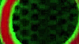 Pawg Virgo Peridot Rides Rome Major's Big Black Cock in Intense Session