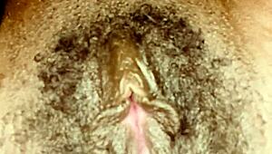 dive into this pretty black pussy now