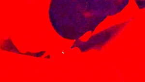 hot bbw milf's slow deepthroat blowjob up close in pov blindfold