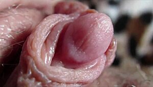 huge clitoris throbs in extreme close-up during intense orgasm