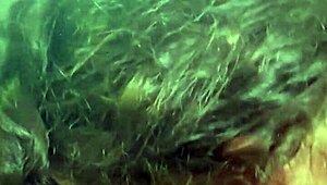 streetwalker hops on dick reverse cowgirl in truck then bends for standing fuck and ass cumshot