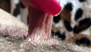 huge clitoris throbs in extreme close-up during intense orgasm