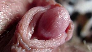 huge clitoris throbs in extreme close-up during intense orgasm