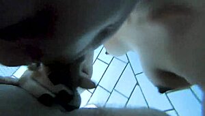 they sneak into the pool for a risky underwater plunge that turns into bareback fun