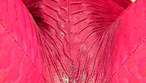 FROTANDO MI COÑO LEGGINS WET CUMMING DIRTY TALK