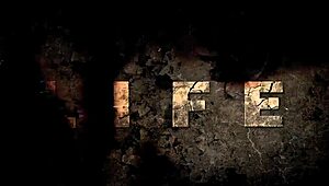 detailed vintage erotic drawings showcase hairy antique retro fantasies