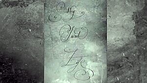 Vintage Silent Films Showcase Classic Era