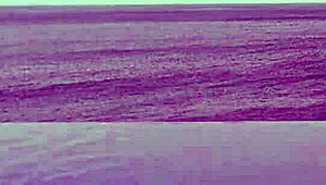 skinny japanese college girl in ponytail dips into infinity pool showing off legs and small waist