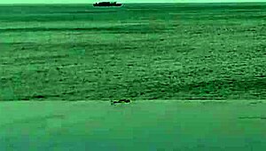 skinny japanese college girl in ponytail dips into infinity pool showing off legs and small waist