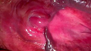 check amateur pink pussy glowin 215 days after virginity loss