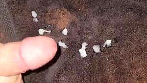 Fleshlight stroke teases massive cock cumshot voyeur anal edge session