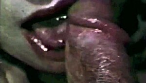 Ever wonder about hairy pussy threesomes in vintage porn?