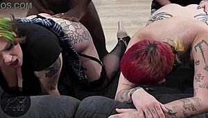 Trans cuckolded as femdom pegs them with huge black strap-on!