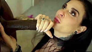 busty brunette joanna angel stretches tight asshole on bbc