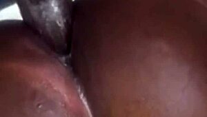 i couldn't stop staring at that big booty bbc tranny... had to fuck her ass bareback outdoors...