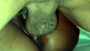 my trans friend fucks my hairy pussy so good in front of boyfriend