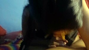 dhaka prof rumpa hossain fucks student rafsanxx hard with blowjobs n romantic sex 😘 hot bangladeshi action