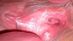 Amateur Japanese Wife's Shaved Pink Pussy Close-Up 336 Days Post-Virginity