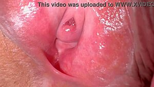 Amateur Japanese Wife's Shaved Pink Pussy Close-Up 336 Days Post-Virginity