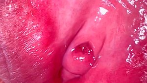 Amateur Japanese Wife's Shaved Pink Pussy Close-Up 336 Days Post-Virginity