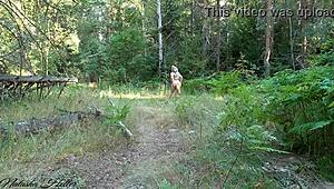 check out this foxy blonde flashing her big tits and ass outdoors like a total exhibitionist