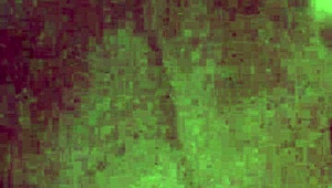 Russian Wife Fucked Hard By Monster Cock In Israel Ass Pounding