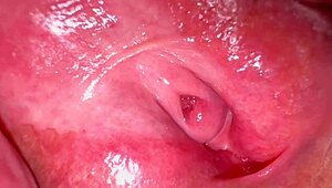 Amateur Japanese Wife's Shaved Pink Pussy Close-Up 336 Days Post-Virginity