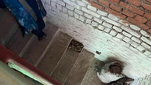 bengali village girl squeezes boobs while kissing outdoor couple friends.