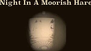Hairy Pussy Exposed In Vintage Moorish Harem Night Scene Chapter One