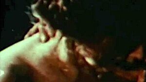 hairy pussy orgy with monster retro beavers in vintage action
