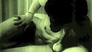 hairy pussy orgy with monster retro beavers in vintage action