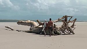 hey you ever tried a threesome on the beach with a hot black mom like this?