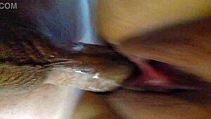 close-up creampie deep in latina girlfriend's huge ass before work!!
