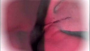 Threesome Stable Fuck White Cock Black Cock Deepthroat Doggystyle Cumshot Facial